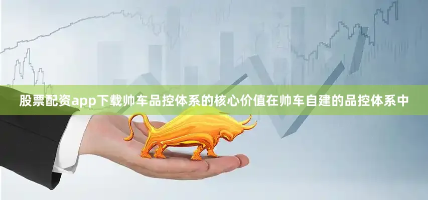 股票配资app下载帅车品控体系的核心价值在帅车自建的品控体系中
