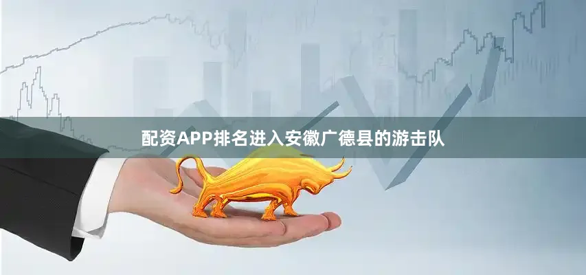 配资APP排名进入安徽广德县的游击队